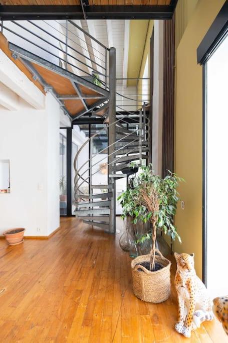 Le Loft Du Vieux-Port - St Victor Apartman Marseille Kültér fotó