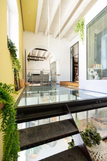Le Loft Du Vieux-Port - St Victor Apartman Marseille Kültér fotó